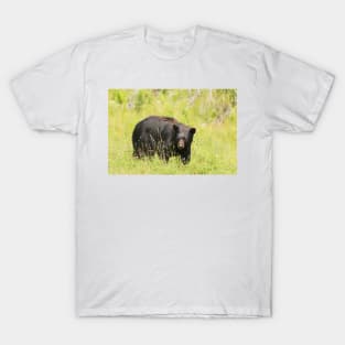 Black Bear in a pasture T-Shirt